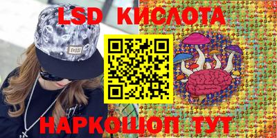 шишки Кимры