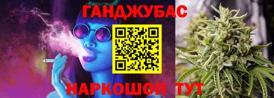 шишки Кимры