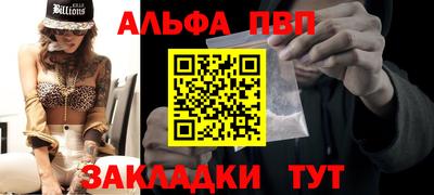 шишки Кимры