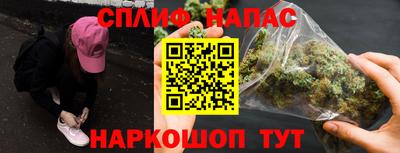 шишки Кимры