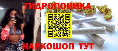 шишки Кимры