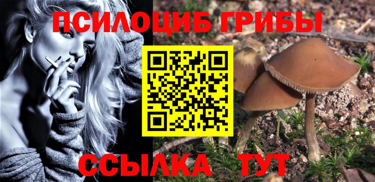 Галлюциногенные грибы мицелий  Вход с VPN  Псилоцибиновые грибы прущие грибы  Лыткарино 